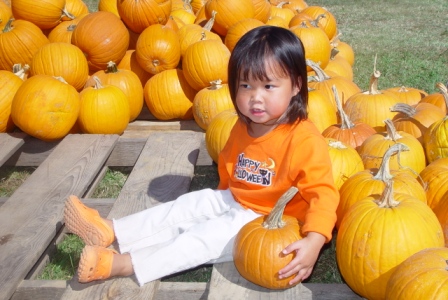 Kasen and the pumpkins